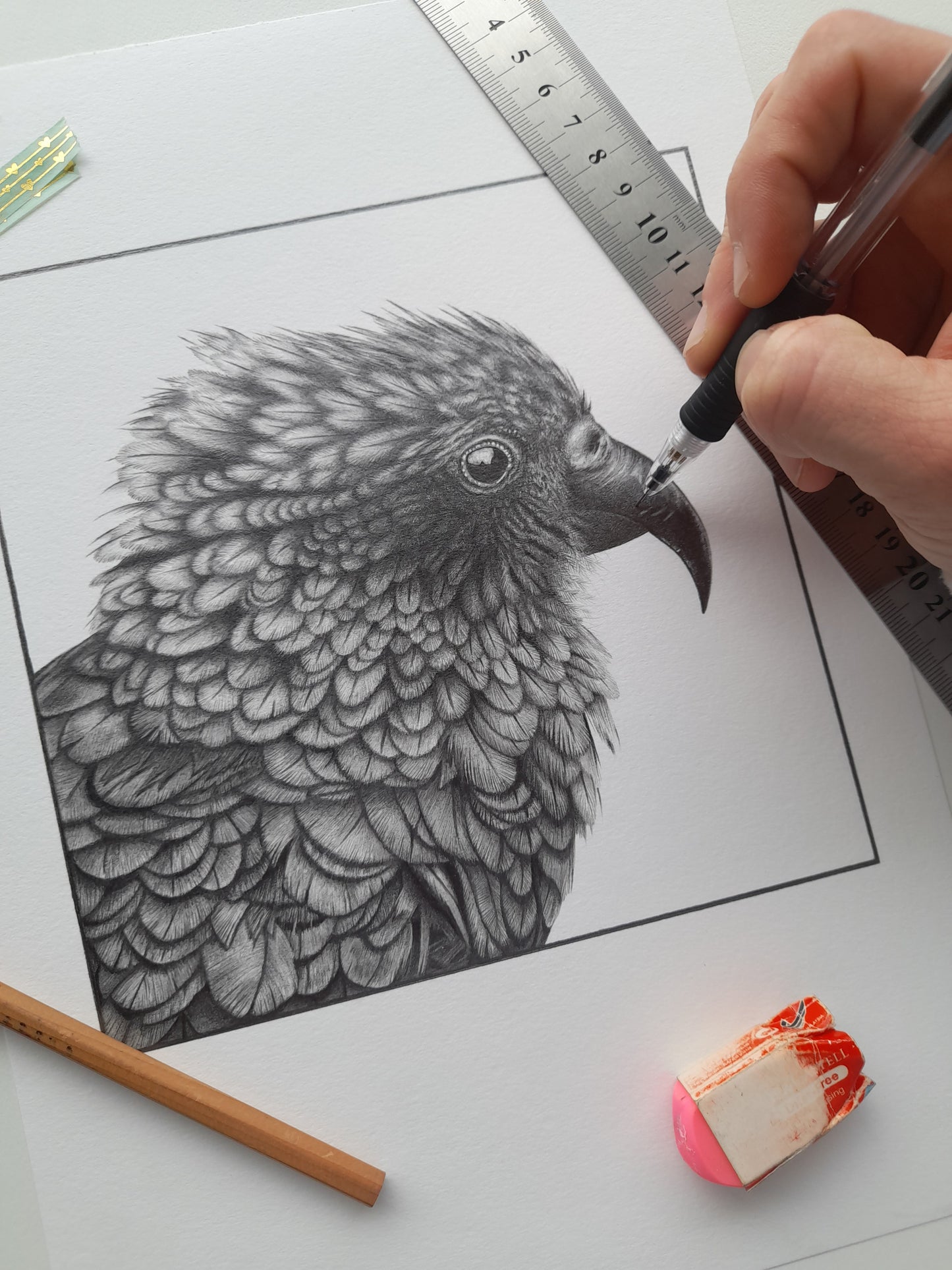 Ruffle my Feathers Baby - Kea - Limited Edition A4 Giclee Print