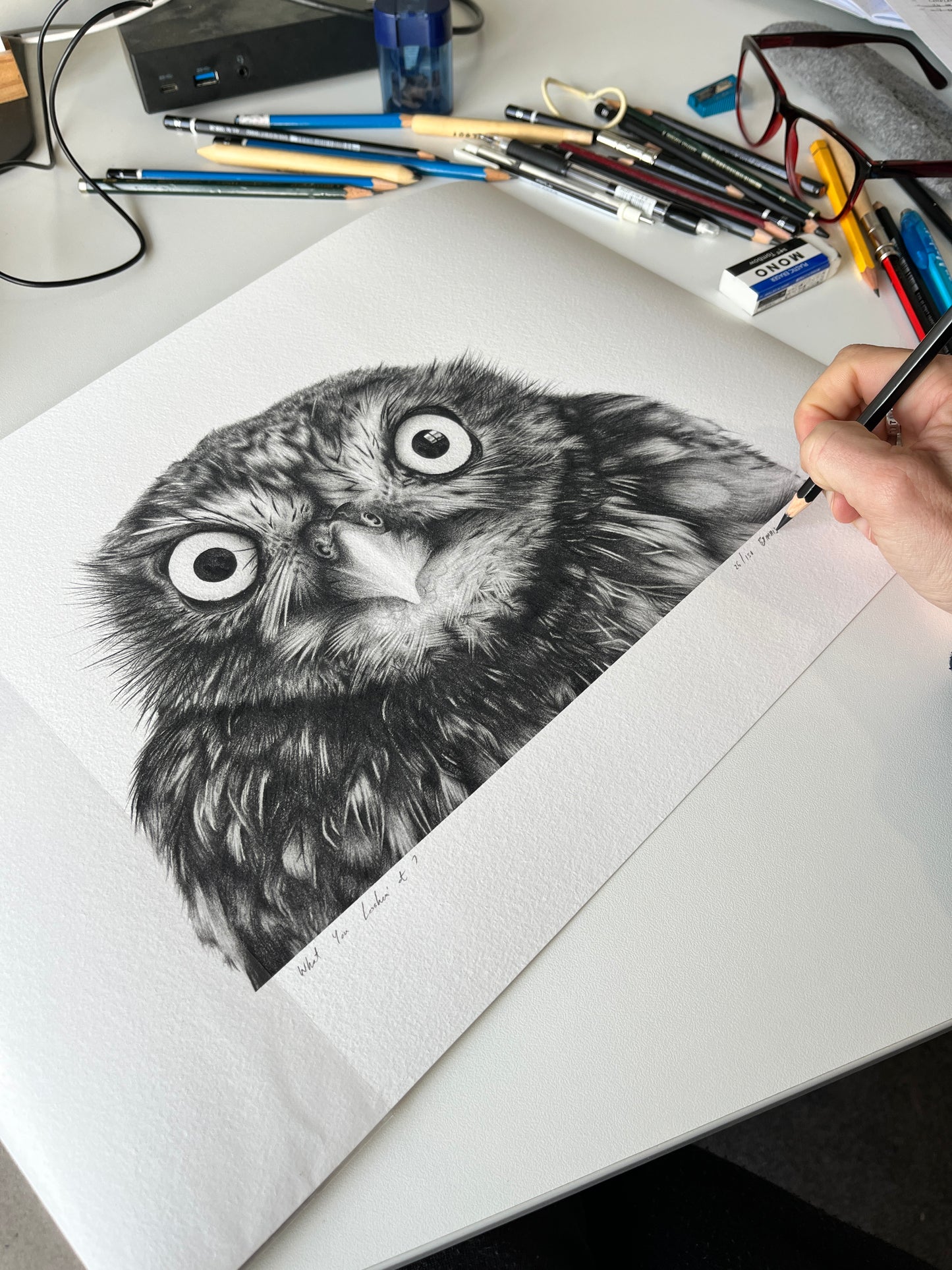 Signed art work of owl
