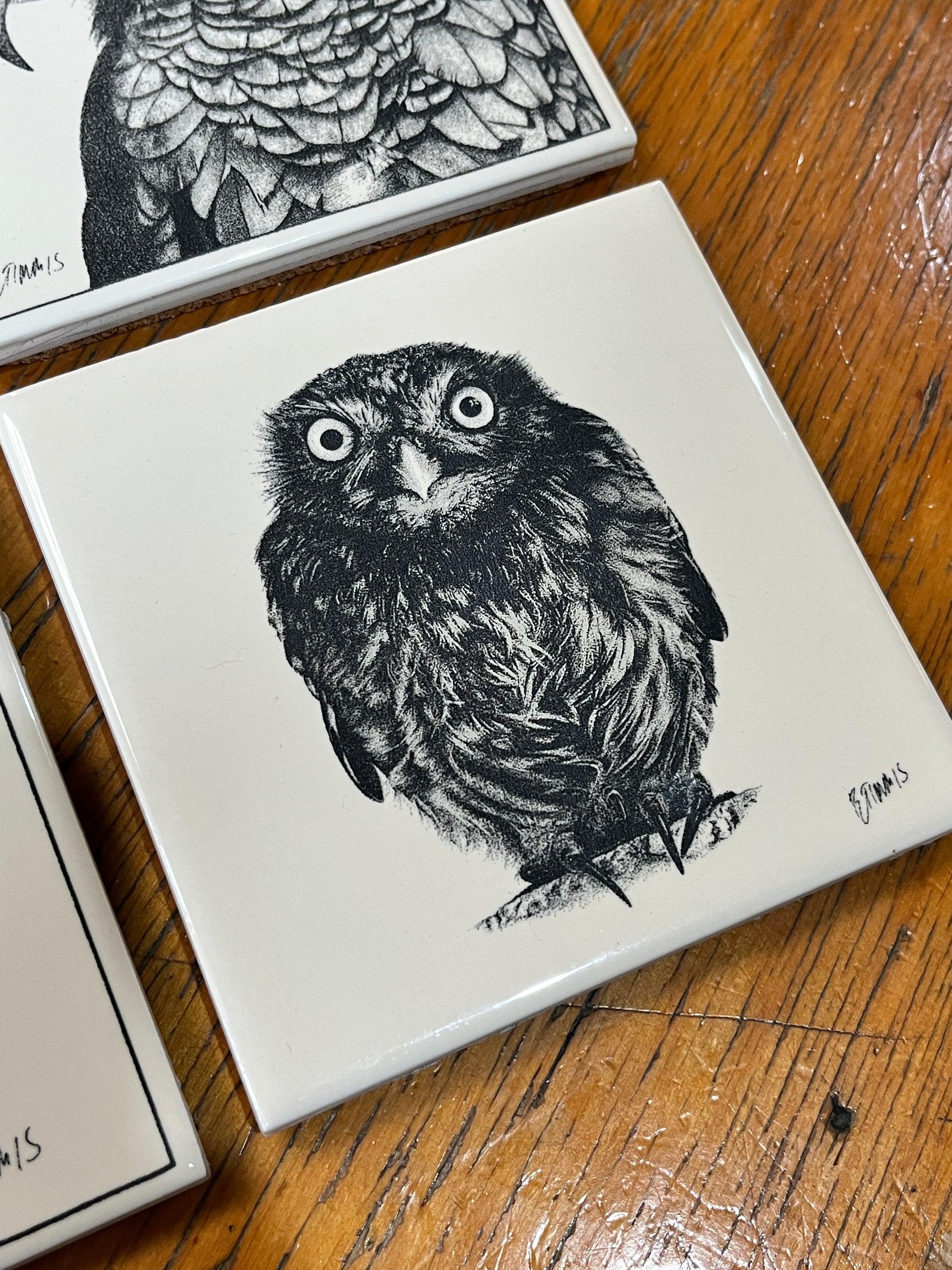 Owl ceramic coaster by Emma Timmis