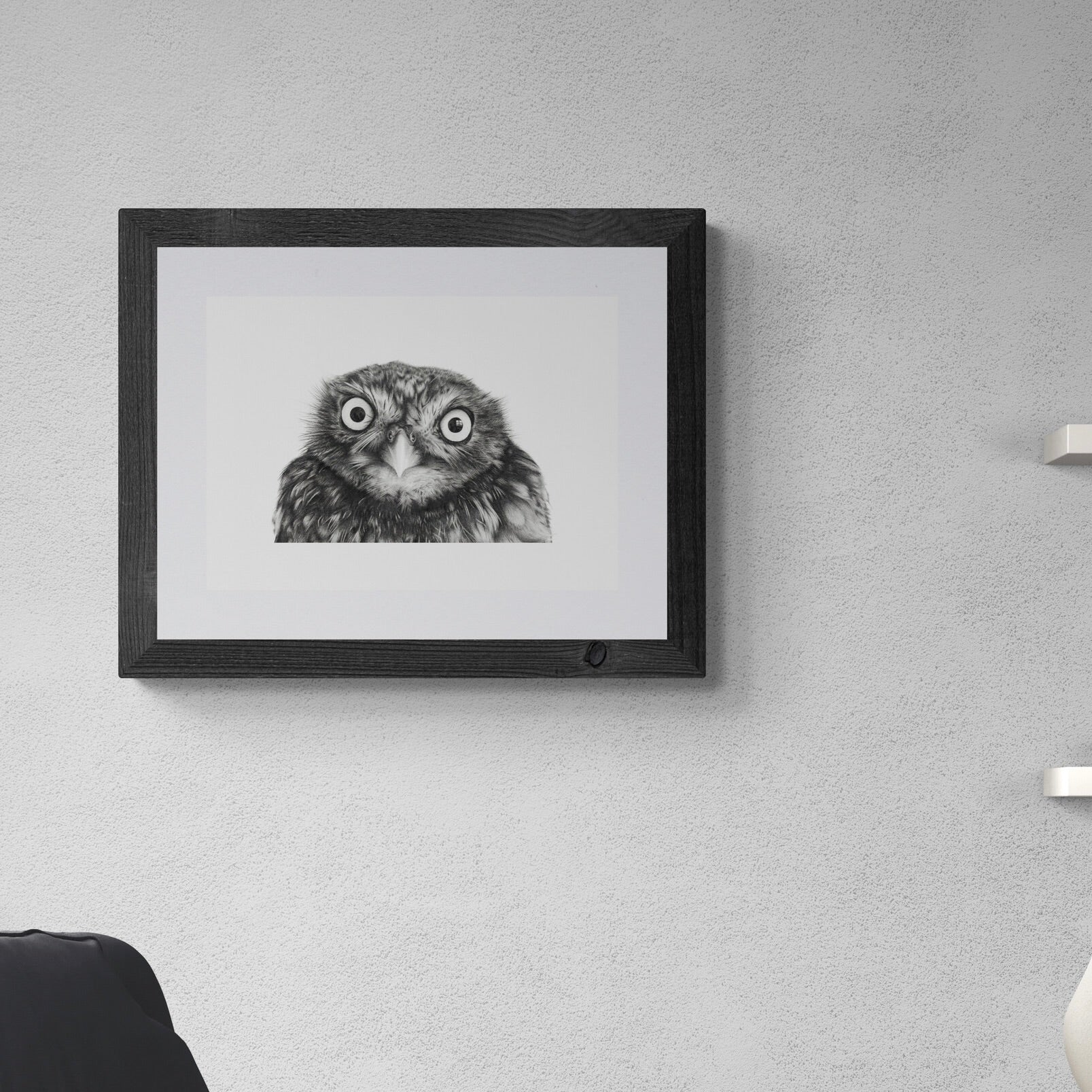 Little owl wall art