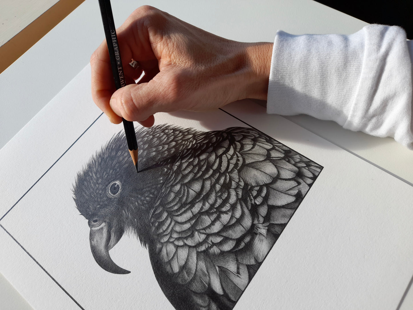 Oh, Hello There - Kea - Limited Edition A4 Giclee Print
