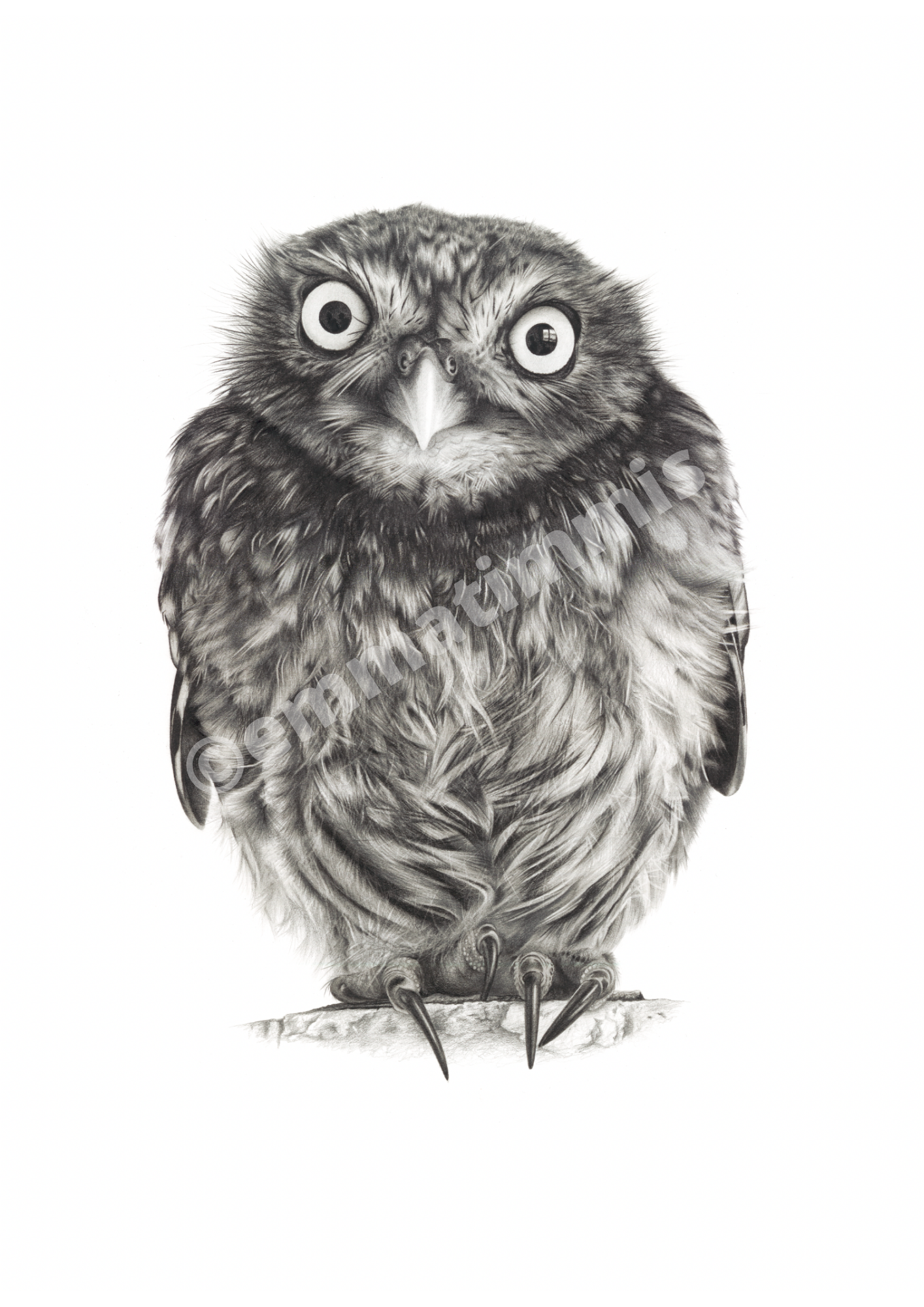 Cuddle Me Quick - Little Owl - Limited Edition Giclee Prints