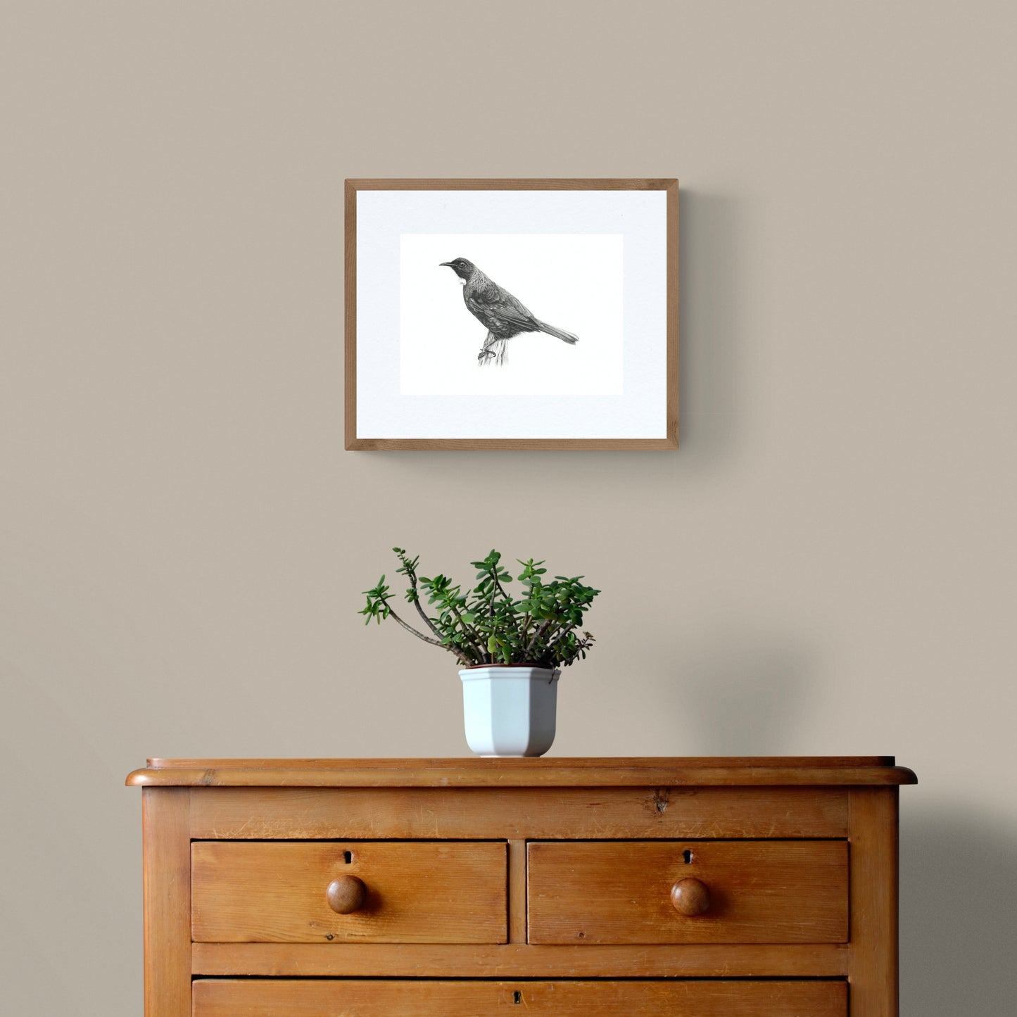 Tui - Limited Edition Giclee Prints