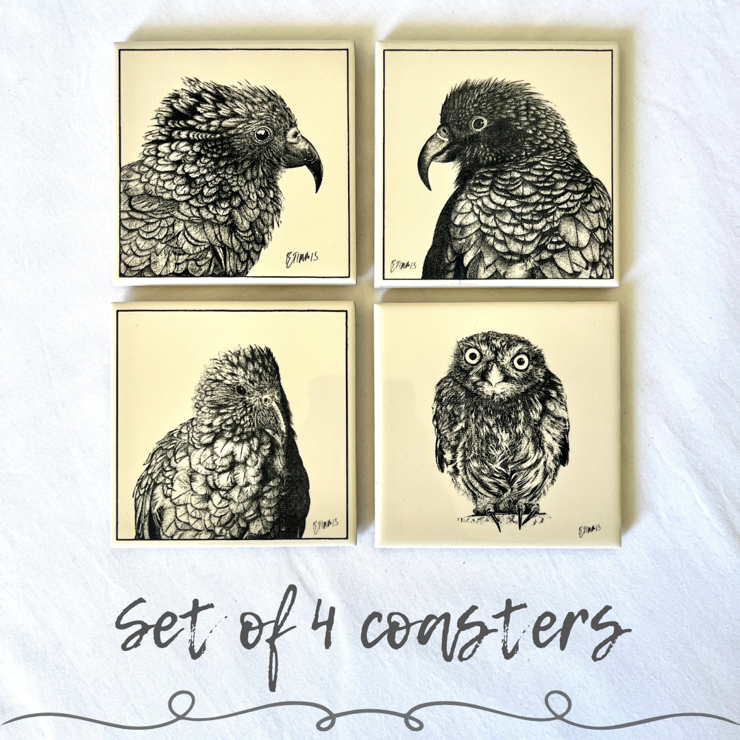 Bird Coasters | Set of 4 or 6 Ceramic Coasters