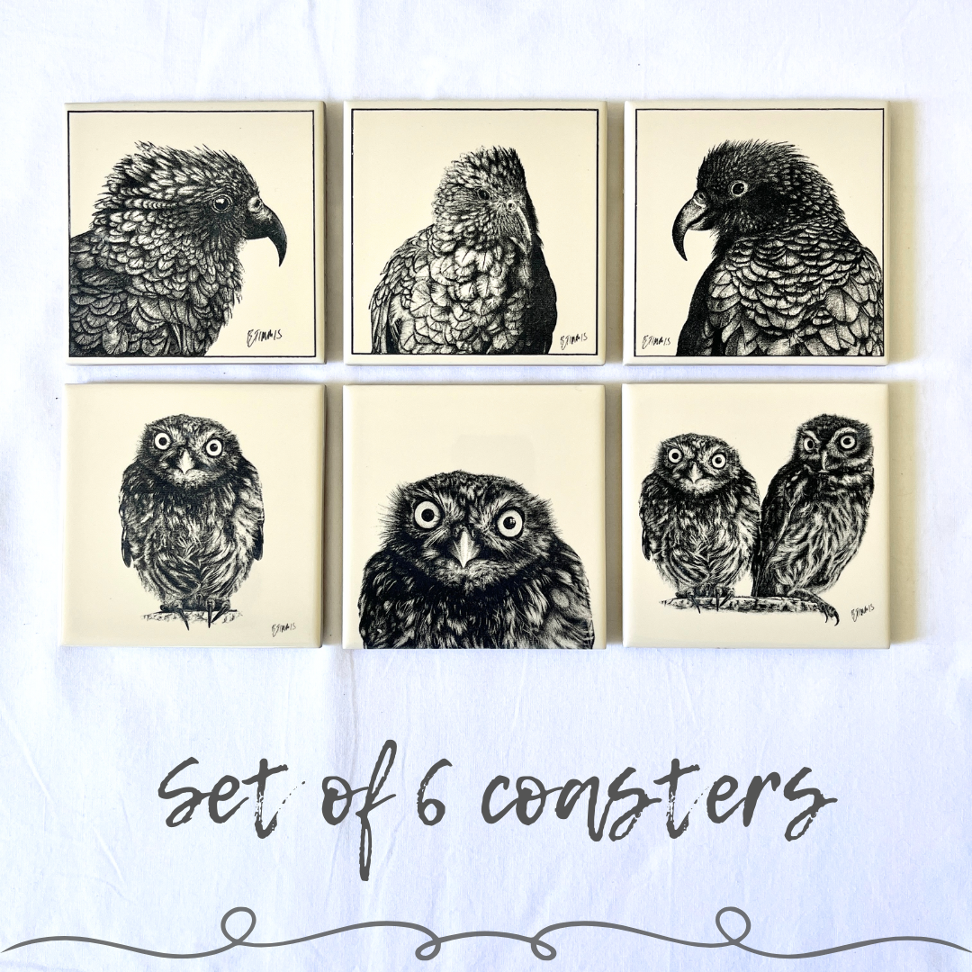 Bird Coasters | Set of 4 or 6 Ceramic Coasters