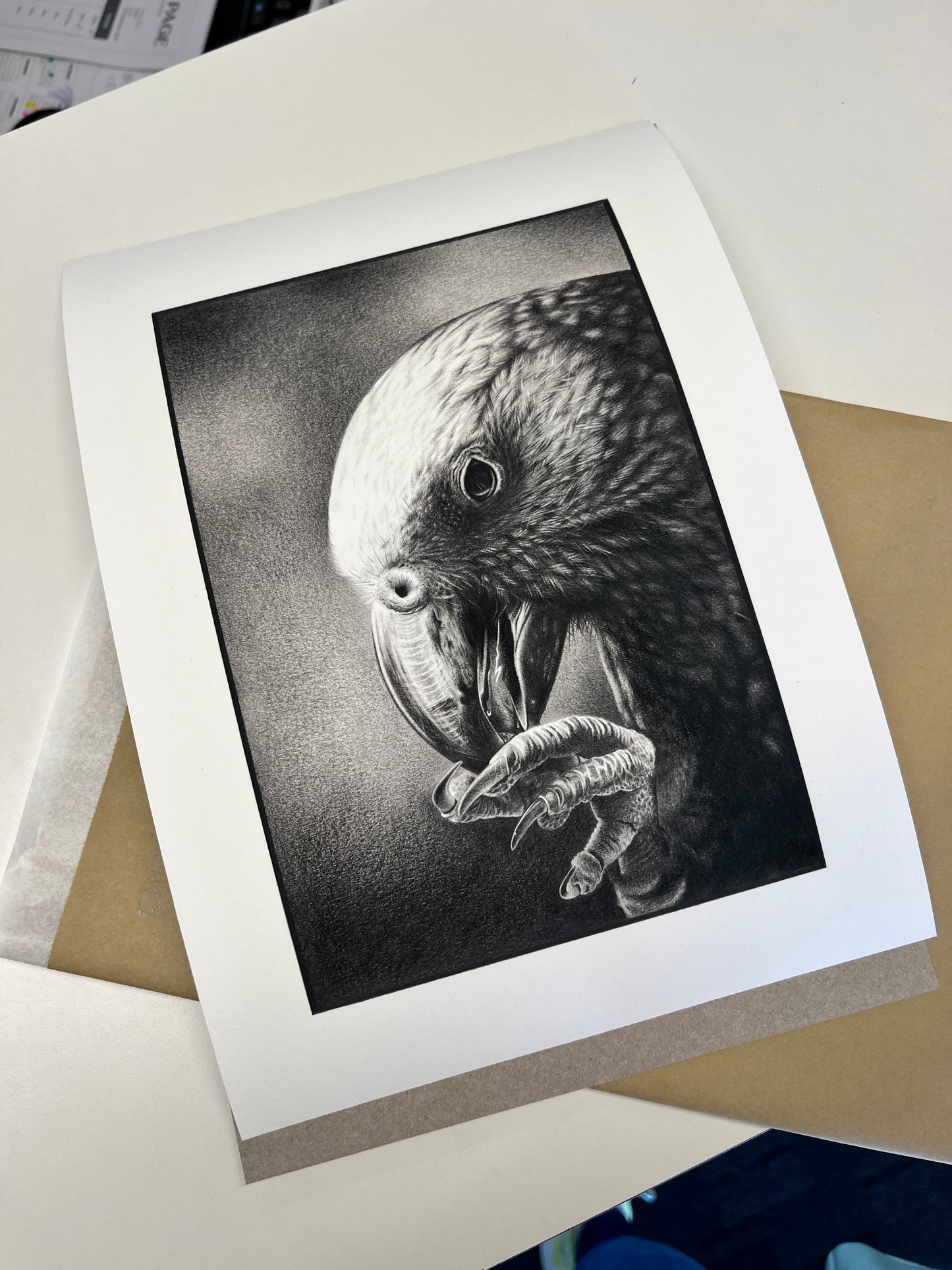 High quality Giclee print of kaka parrot art work