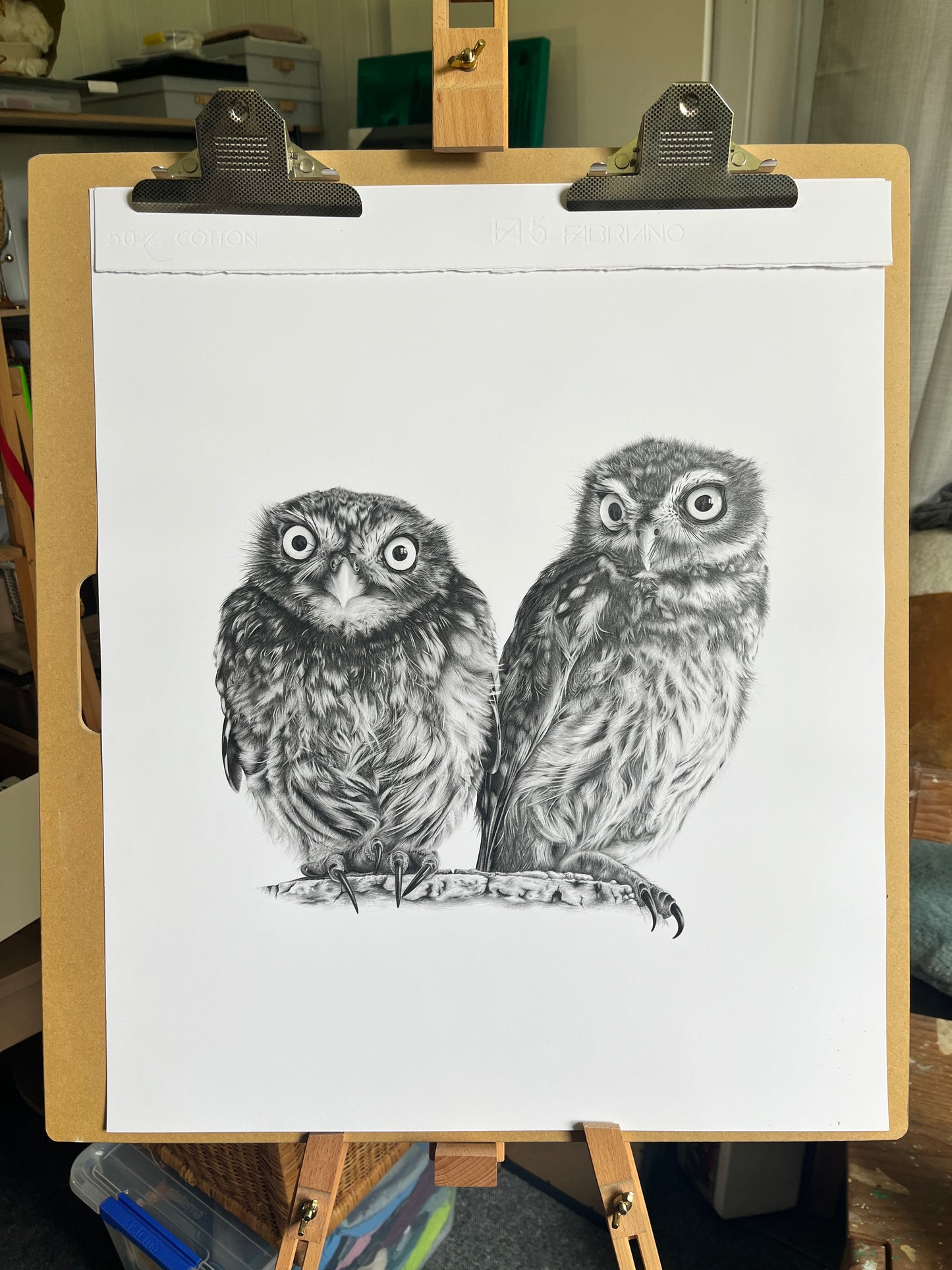Pencil drawing of owls by Emma Timmis