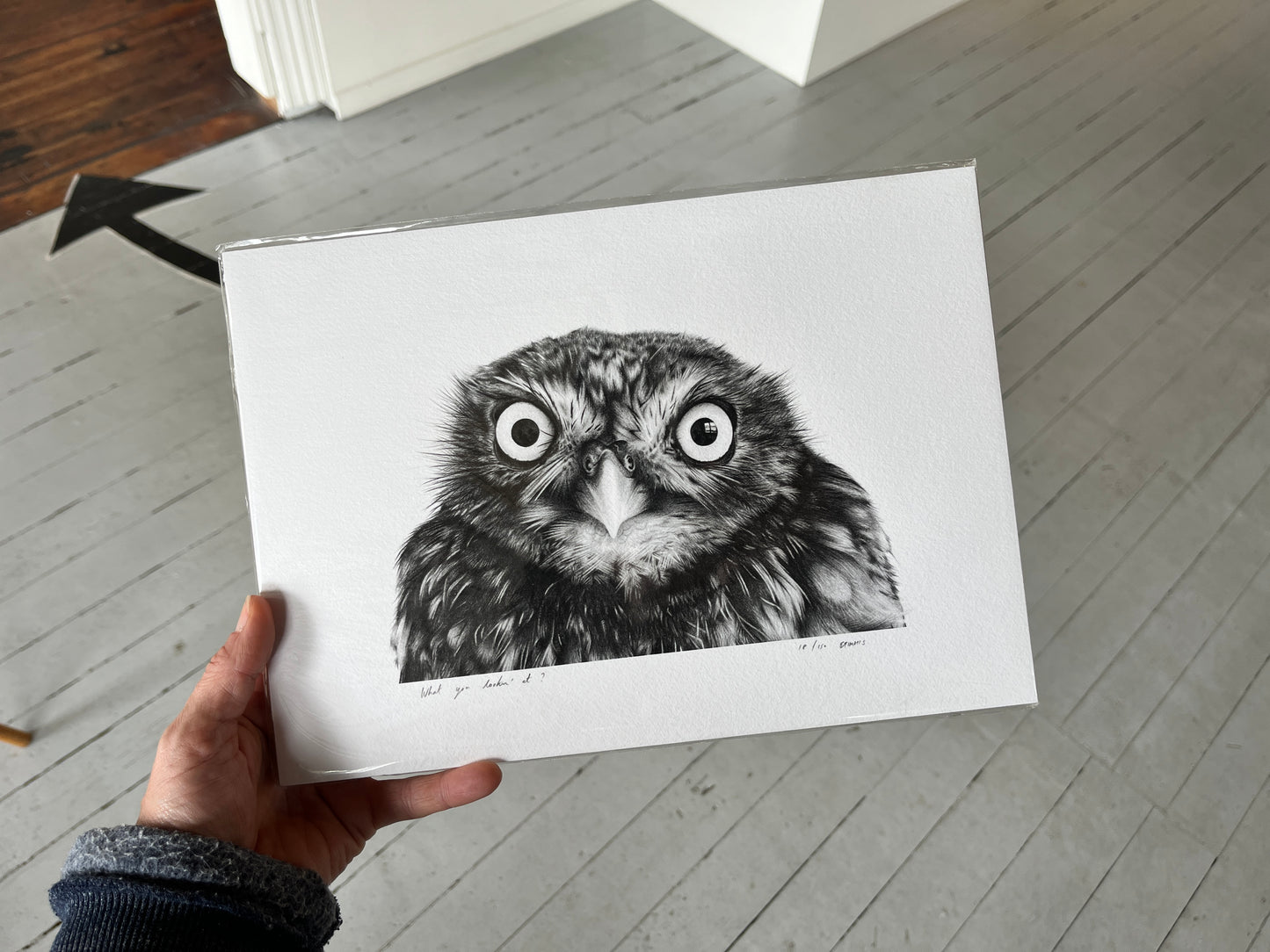 Cute owl face print