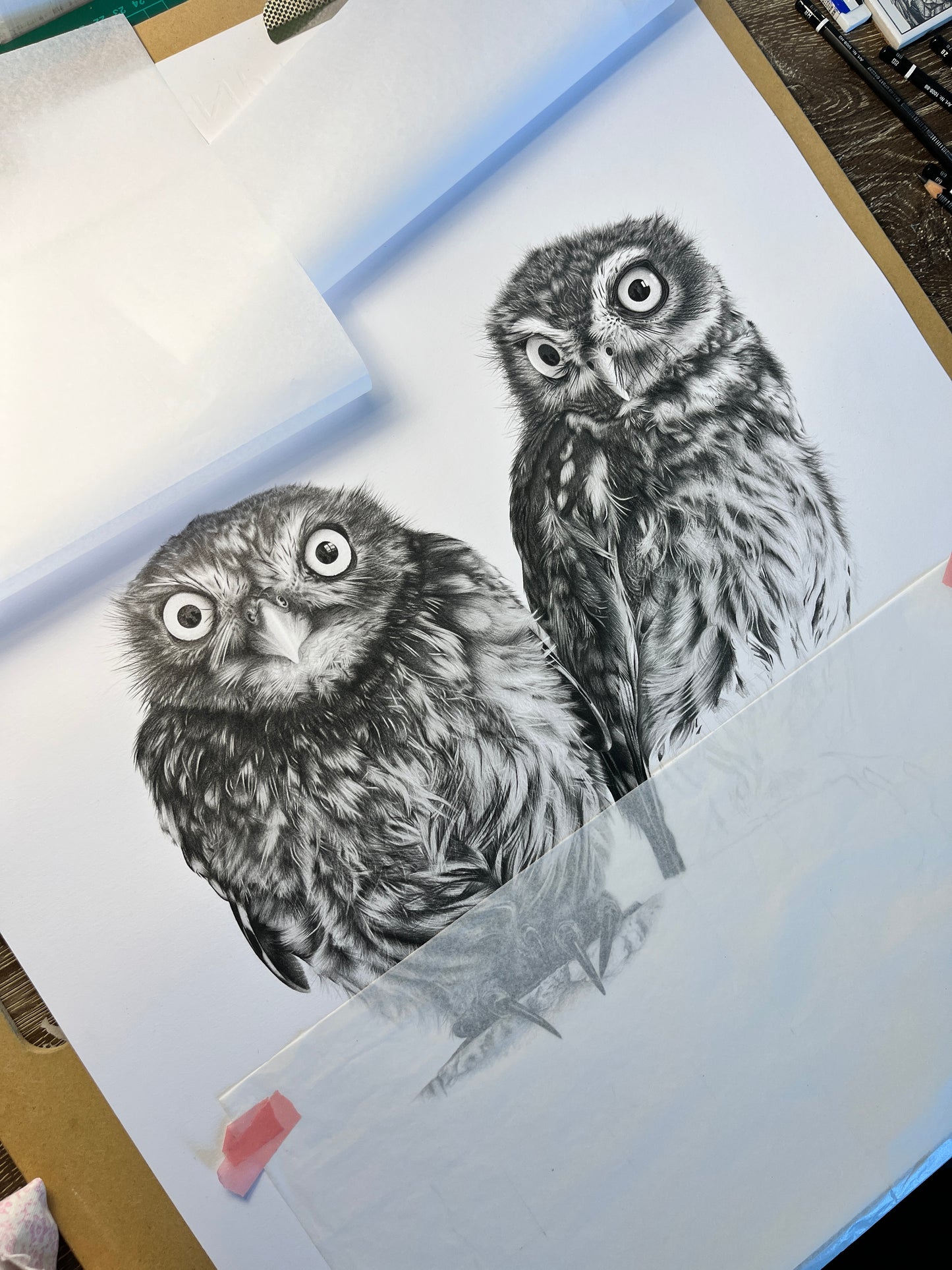 Cute little owls together
