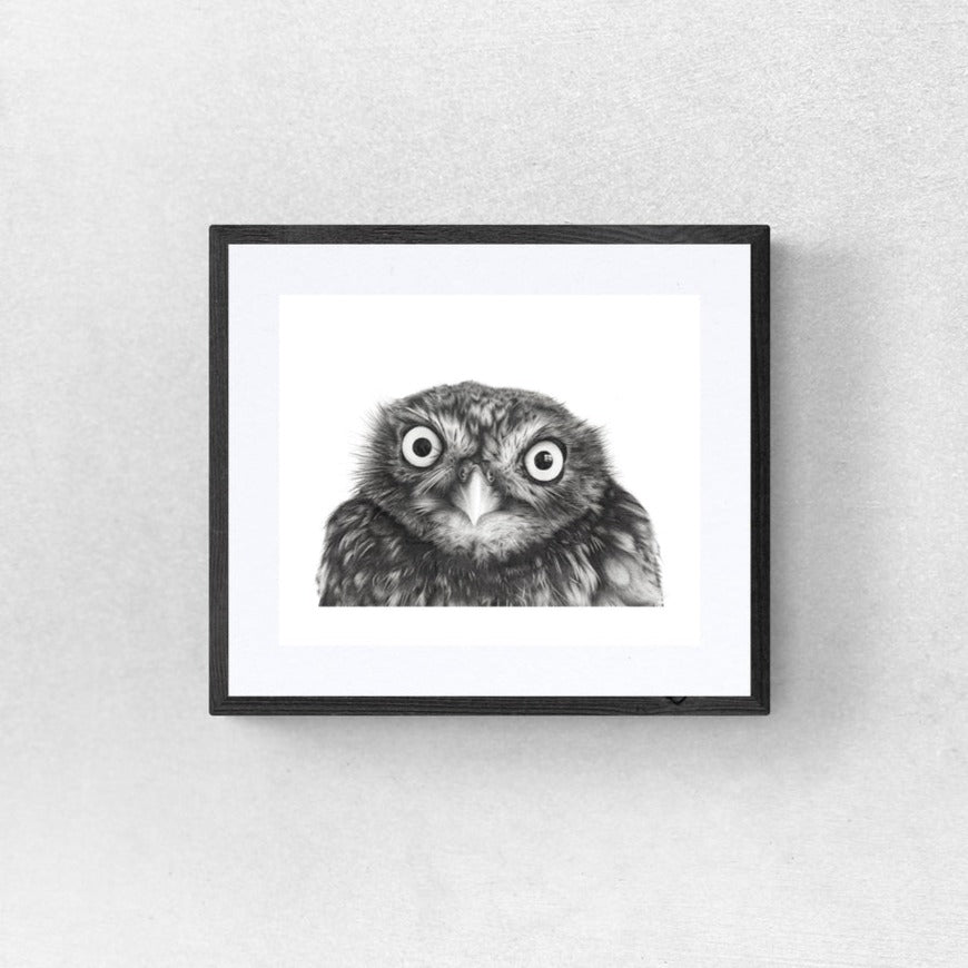 Owl face art work